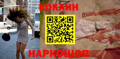 гашик Кингисепп