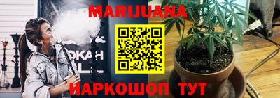 индика Дубна