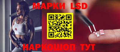 индика Дубна