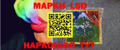индика Дубна