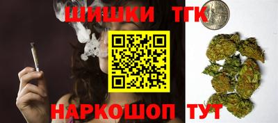 индика Дубна