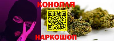 индика Дубна