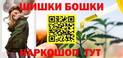 индика Дубна