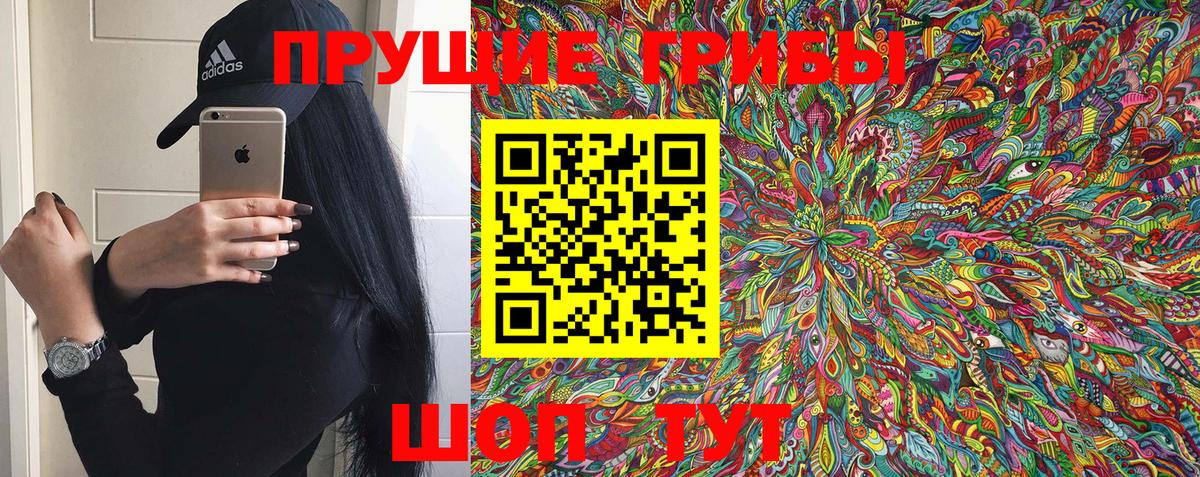 Галлюциногенные грибы Psilocybe Назрань