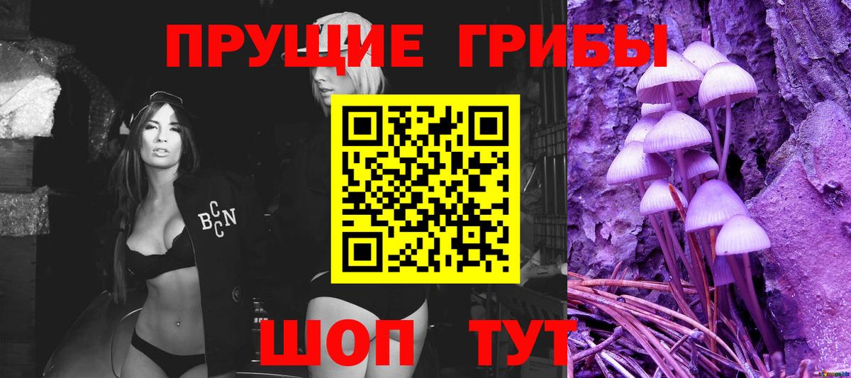 Назрань  Галлюциногенные грибы GOLDEN TEACHER  Вход с VPN  Псилоцибиновые грибы мухоморы 